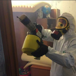 Уничтожение клопов в квартире. Кадников